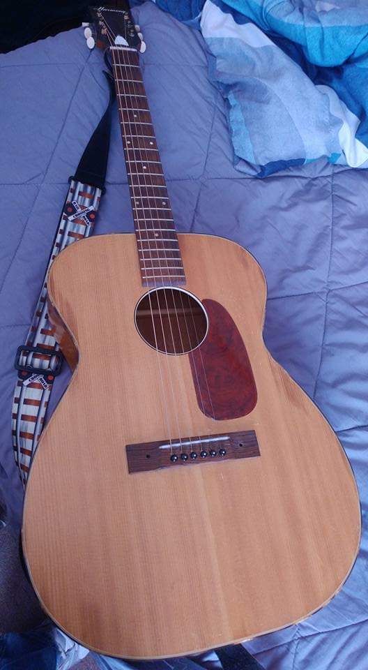 my trusty acousic guitar during COVID